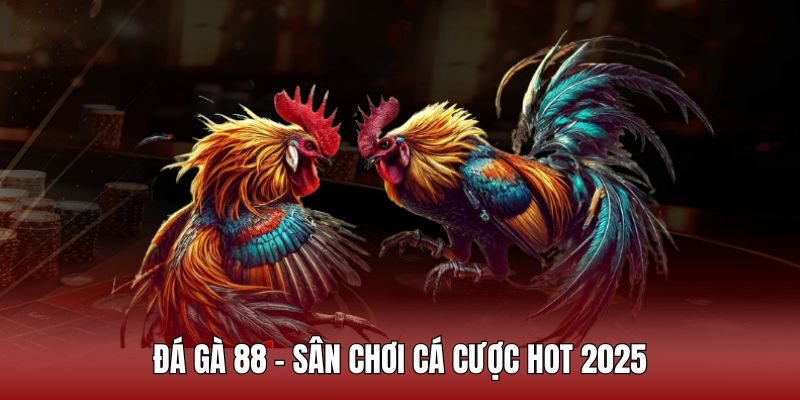 Tìm hiểu về đá gà 88 - Sân chơi hot 2025