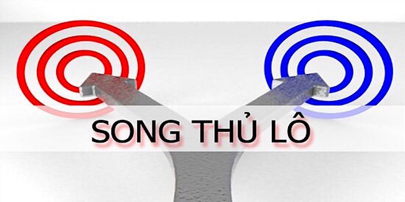 Lý do nên chọn song thủ lô cá cược